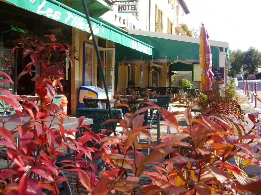 Hotel Les Tilleuls De Pareloup A Salles-Curan Dış mekan fotoğraf