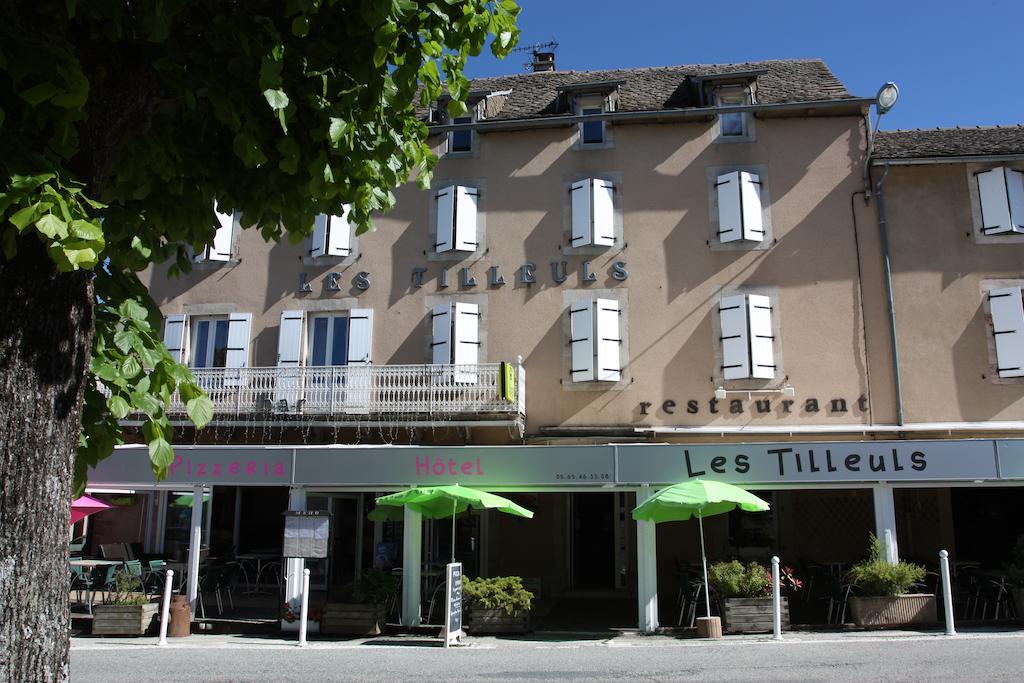 Hotel Les Tilleuls De Pareloup A Salles-Curan Dış mekan fotoğraf